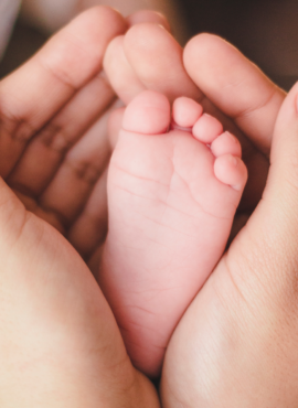 Mamães e Bebês