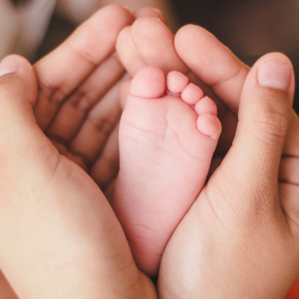 Mamães e Bebês
